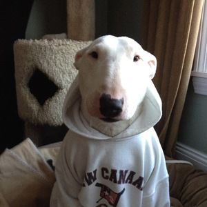 Meet your Posher, Cathie